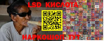 стафф Новокубанск