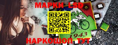 стафф Новокубанск