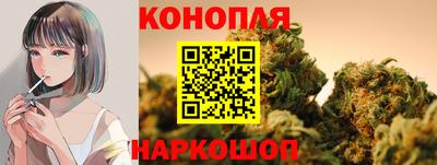 стафф Новокубанск