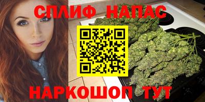 стафф Новокубанск