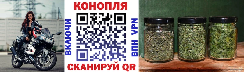 Марихуана семена  blacksprut сайт  Шебекино 